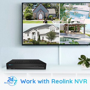 Reolink Camera